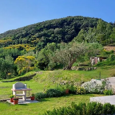 Daire Cecilija Supetarska Draga